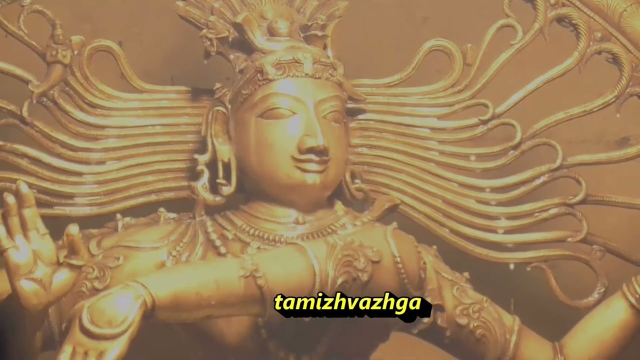 VLR  NADARAJAR ABISHEEKAM GOLDEN THEER VIZHA