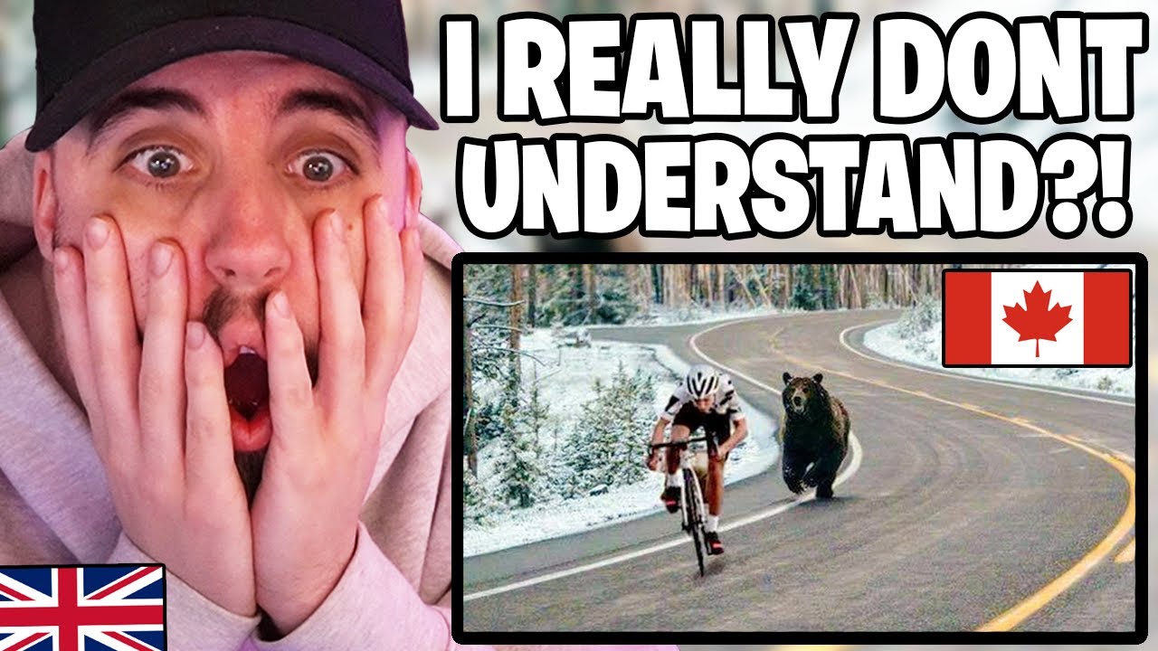 Brit Reacts to Memes Only CANADIANS Will Understand!