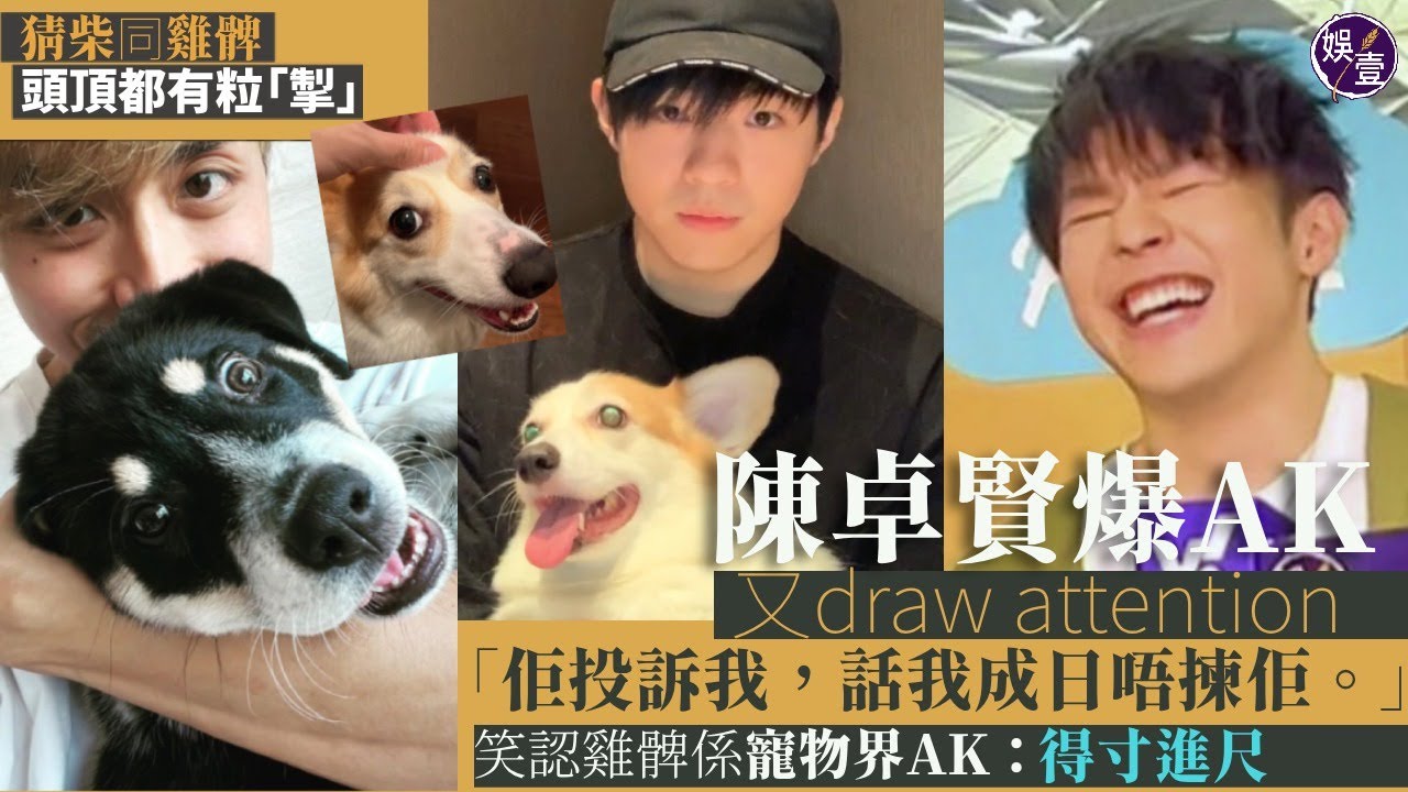 Ian陳卓賢足本訪問︱自爆不能裸睡：唔着衫會瞓唔到︱爆Anson Kong又求關注：佢投訴我，話我成日唔揀佢︱雞髀係寵物界AK：人哋都唔理佢喇，都仲要得寸進尺（ #Ian #陳卓賢 #娛壹 ）