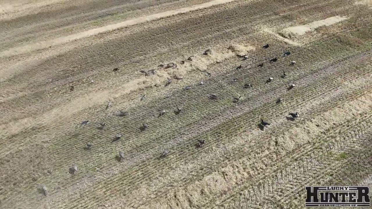 Layout blinds from the air!