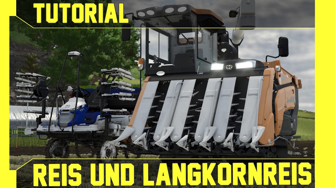 LS 25 Reis & Langkornreis Tutorial: Kurz, leicht und verständlich erklärt