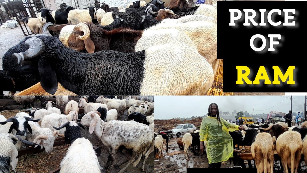 Price of RAM in Africa The Nigeria 2023 Eld
