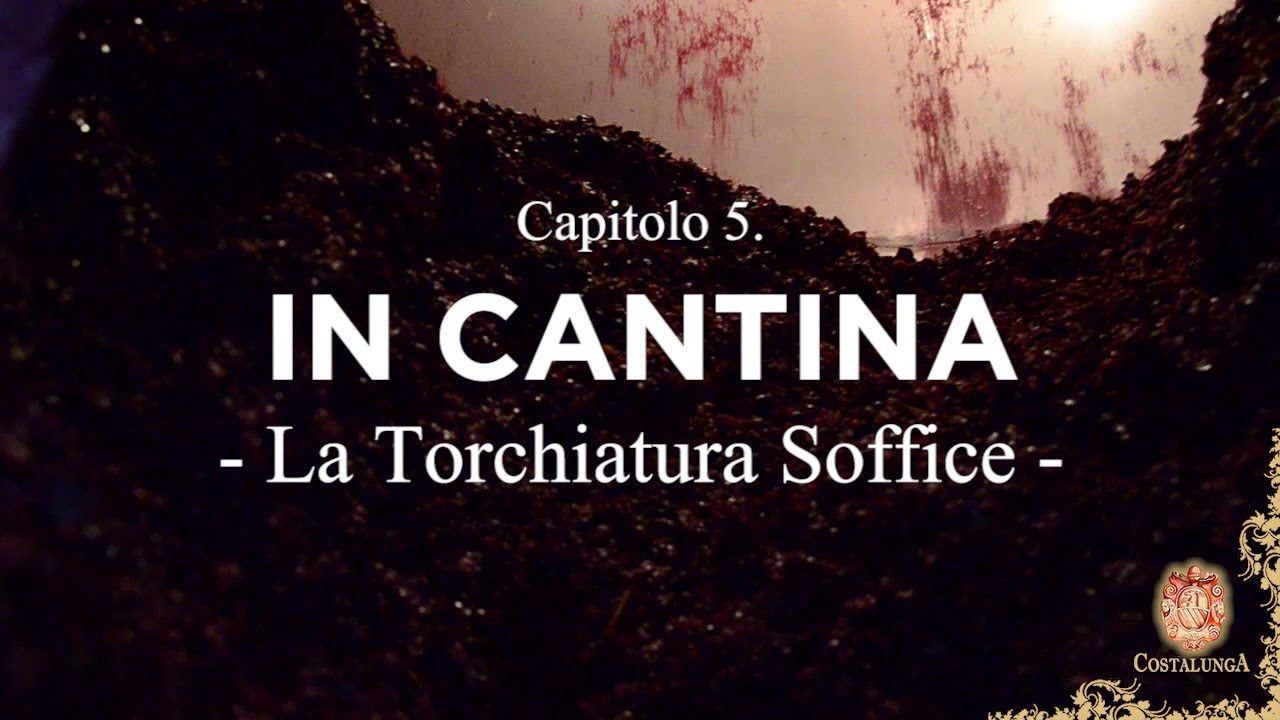 05 IN CANTINA | Il Mosto, la svinatura e la torchiatura soffice
