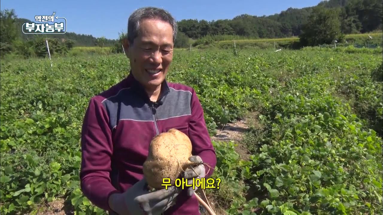 [61회] 멕시코 감자를 재배해 연 매출 1억 8천만 원 '경북 구미시 장현기 부자농부'