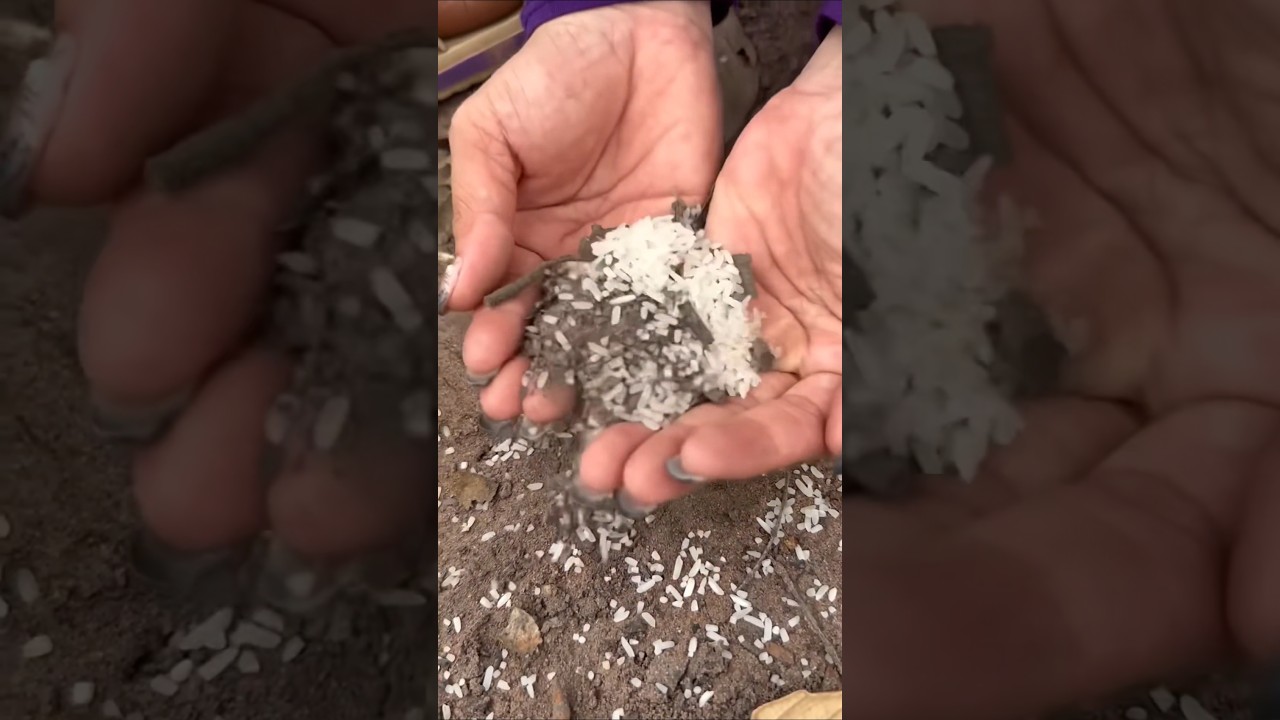 Single mom show SMART idea for SURVIVAL in forest #camping #outdoor #bushcraft #survival