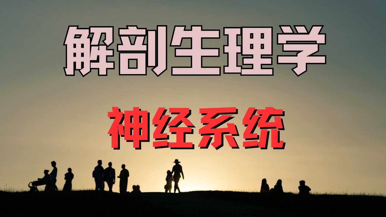 神经系统 NERVOUS SYSTEM