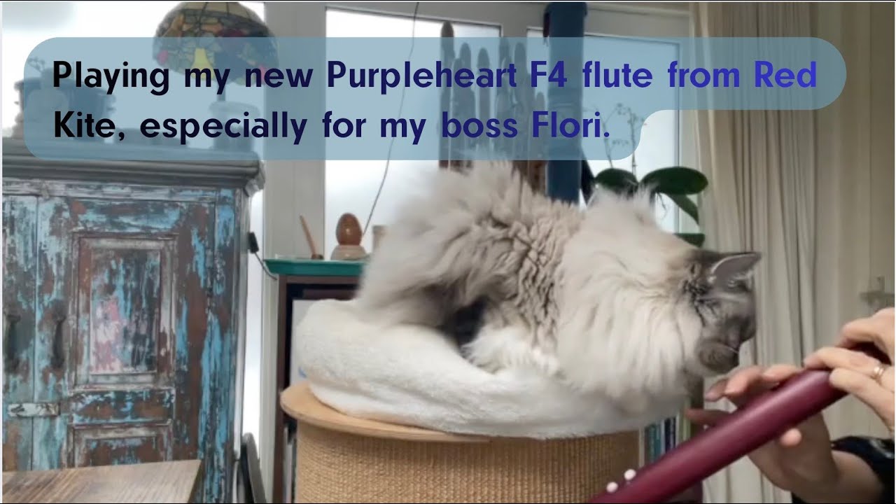 Playing my flute for my cat Flori