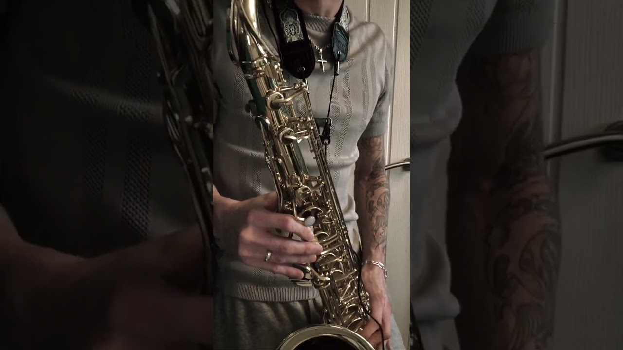 Sidewinder Sleeps Tonite - REM - Saxophone Cover