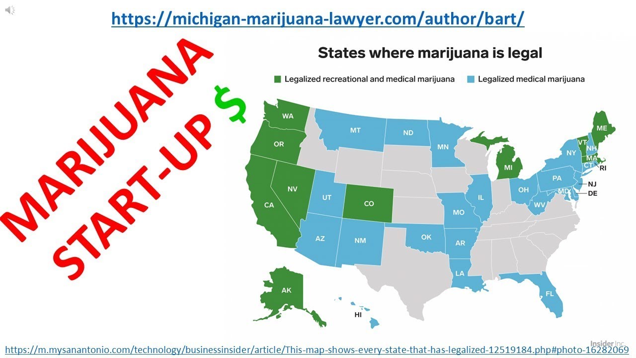 MARIJUANA START-UP COST