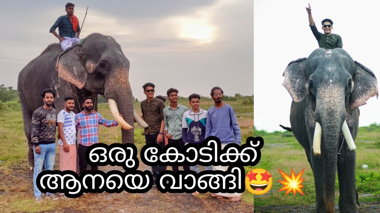Kerala Elephant | ഒരു കോടിക്ക് ആനയെ വാങ്ങി🤩| Kolakkadan Elephant Dead | Kolakkadan Minimol |Aslam Rc