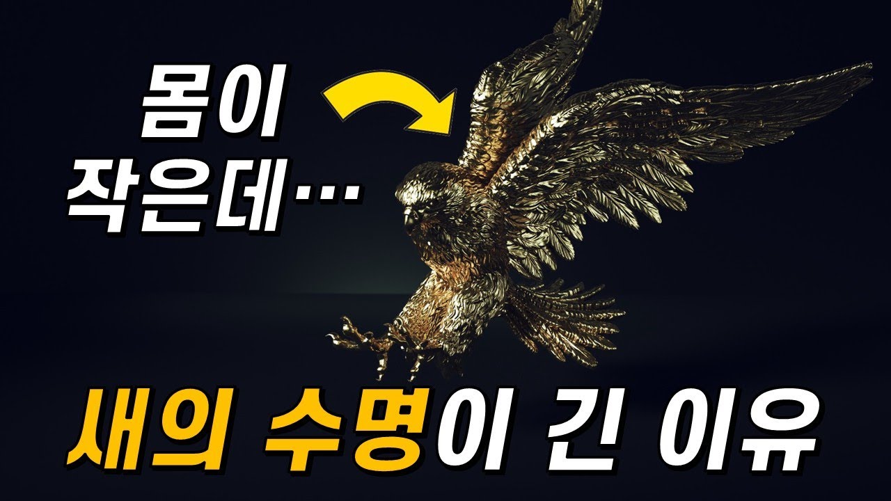 새의 신체 능력은 왜 이토록 뛰어날까?(ft.공룡 유전자)