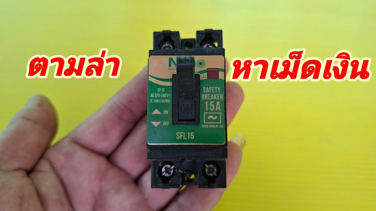 ตามล่า หาเม็ดเงิน