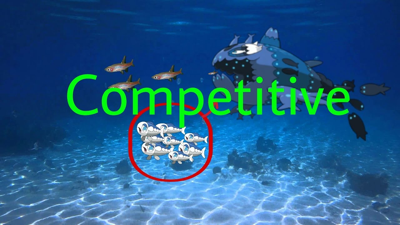 Wie spielt man Lusardin? | Competitive Pok&eacute;mon #1