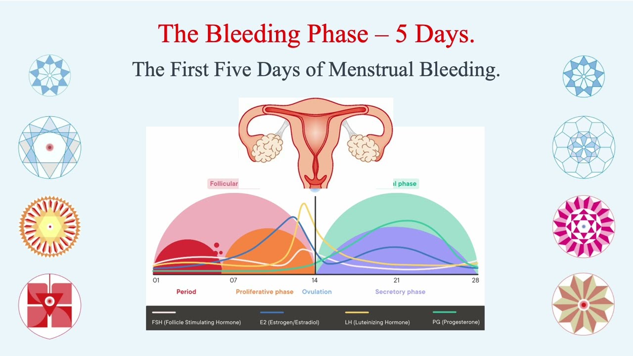 FAMILY DHARMA - Hindi - The First Perfect Human Menstrual Cycle, Conception, and Integrated Child.
