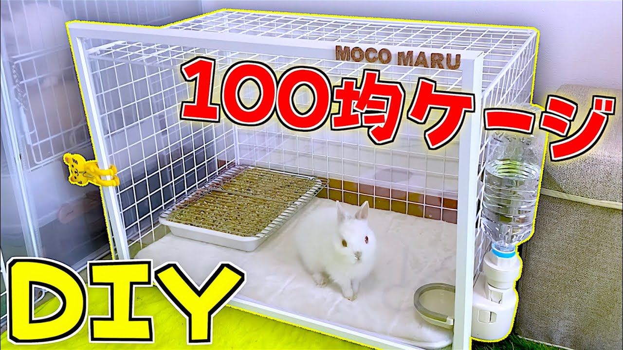 100均のみでペットのお家をDIY✨費用1300円‼️安く作れるおすすめケージの作り方紹介🌟【うさぎ】
