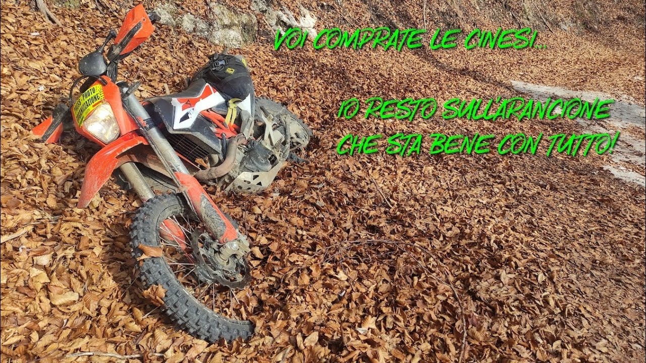 Adventouring tra le foglie....ma la neve? Al KTM 690 va bene tutto..
