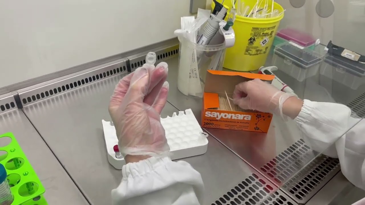 Lotta alla sepsi: diagnosi microbiologica rapida di infezione del torrente circolatorio