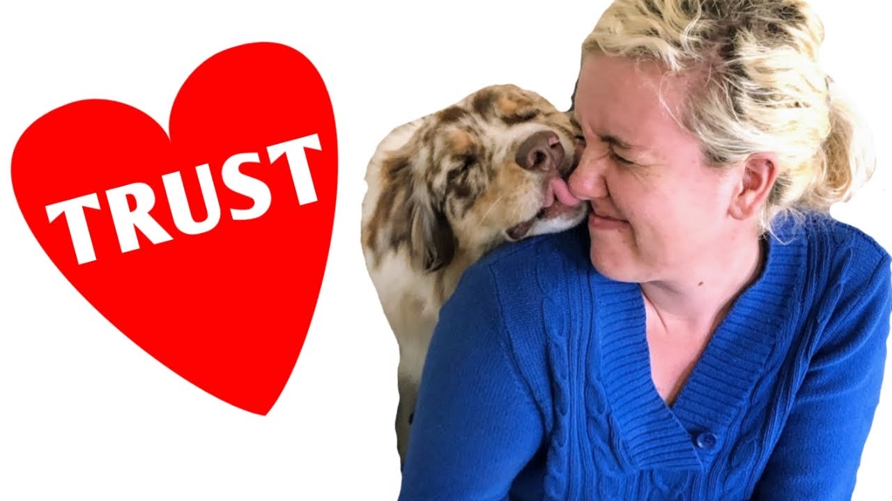 How to Build TRUST with Your Dog