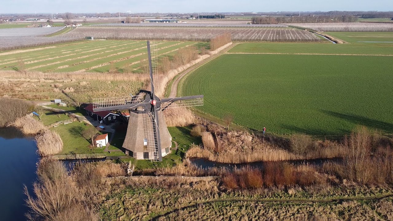 Natuurgebied de Steendert