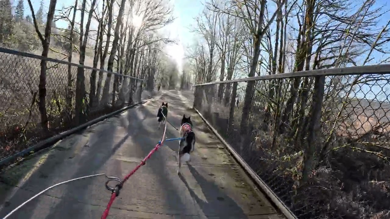 Group Bikejor at Snohomish Valley Trail