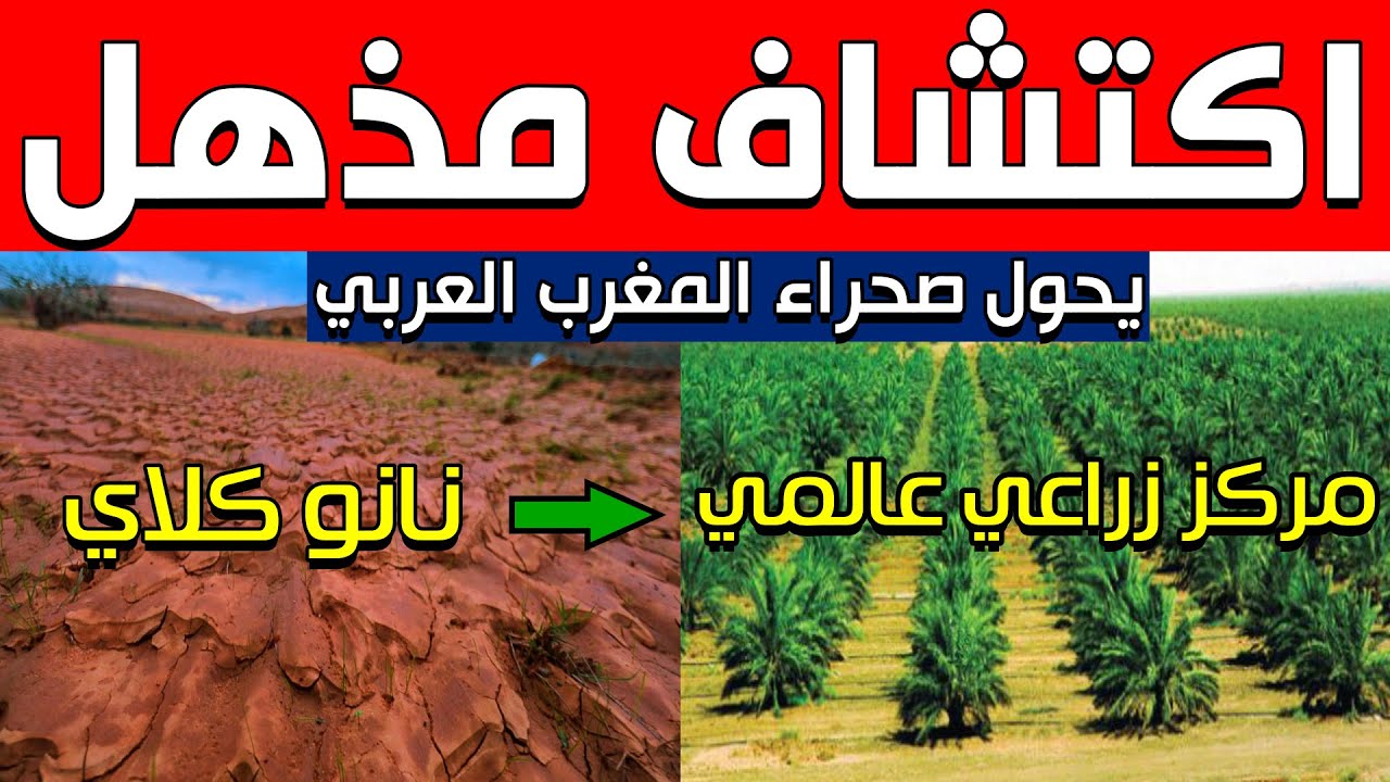الصحراء المغاربية | اكتشاف مذهل يحول صحراء المغرب العربي إلى مركز زراعي عالمي