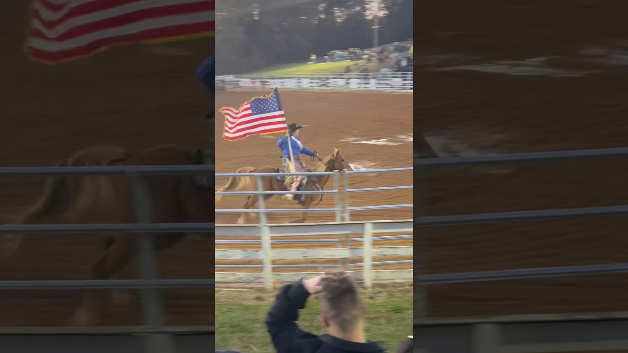 Rodeo time #rodeo #bullriding #roughie #horse #fun