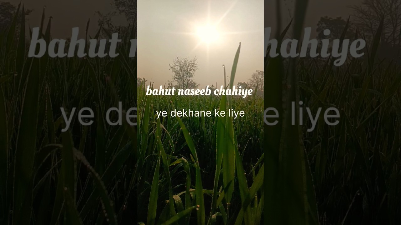 yah naseeb walo ko milta hai