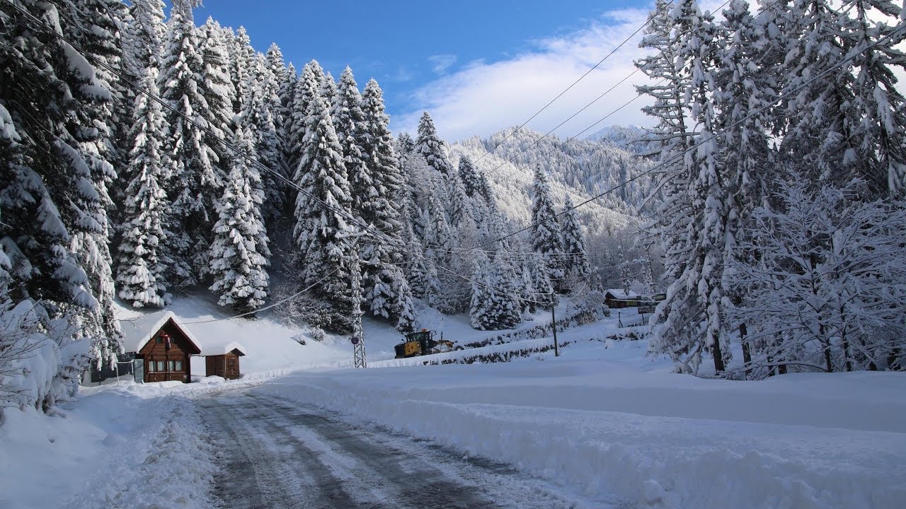 Natural wonders of Turkey's Rize attracts visitors