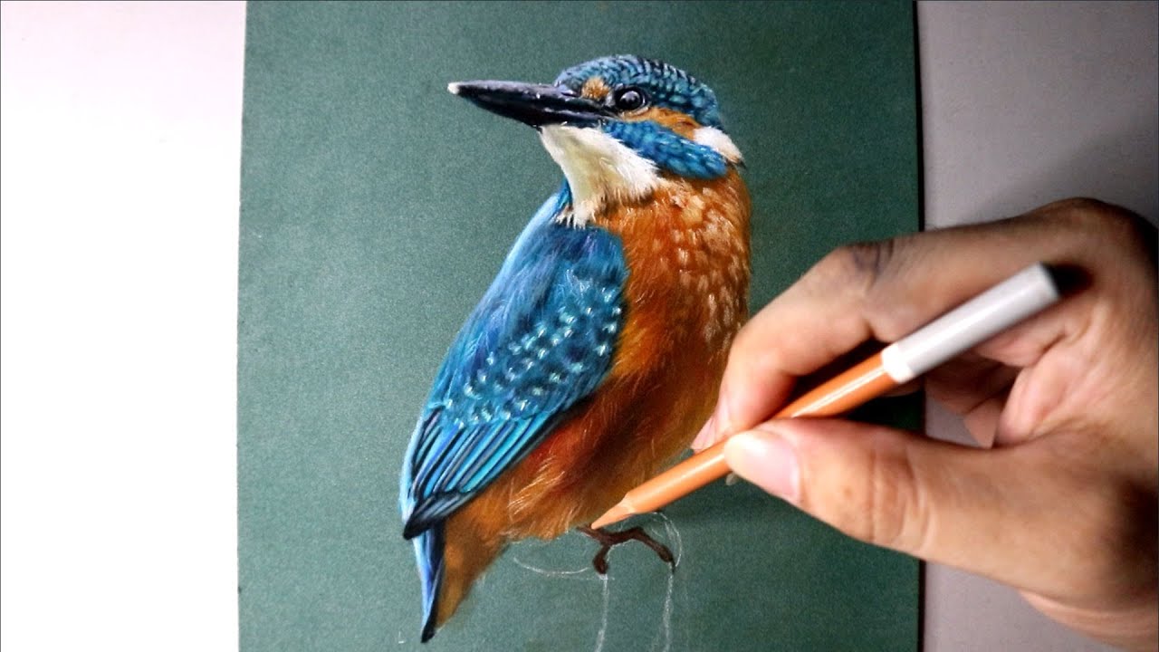 How to draw a bird with pastel pencil