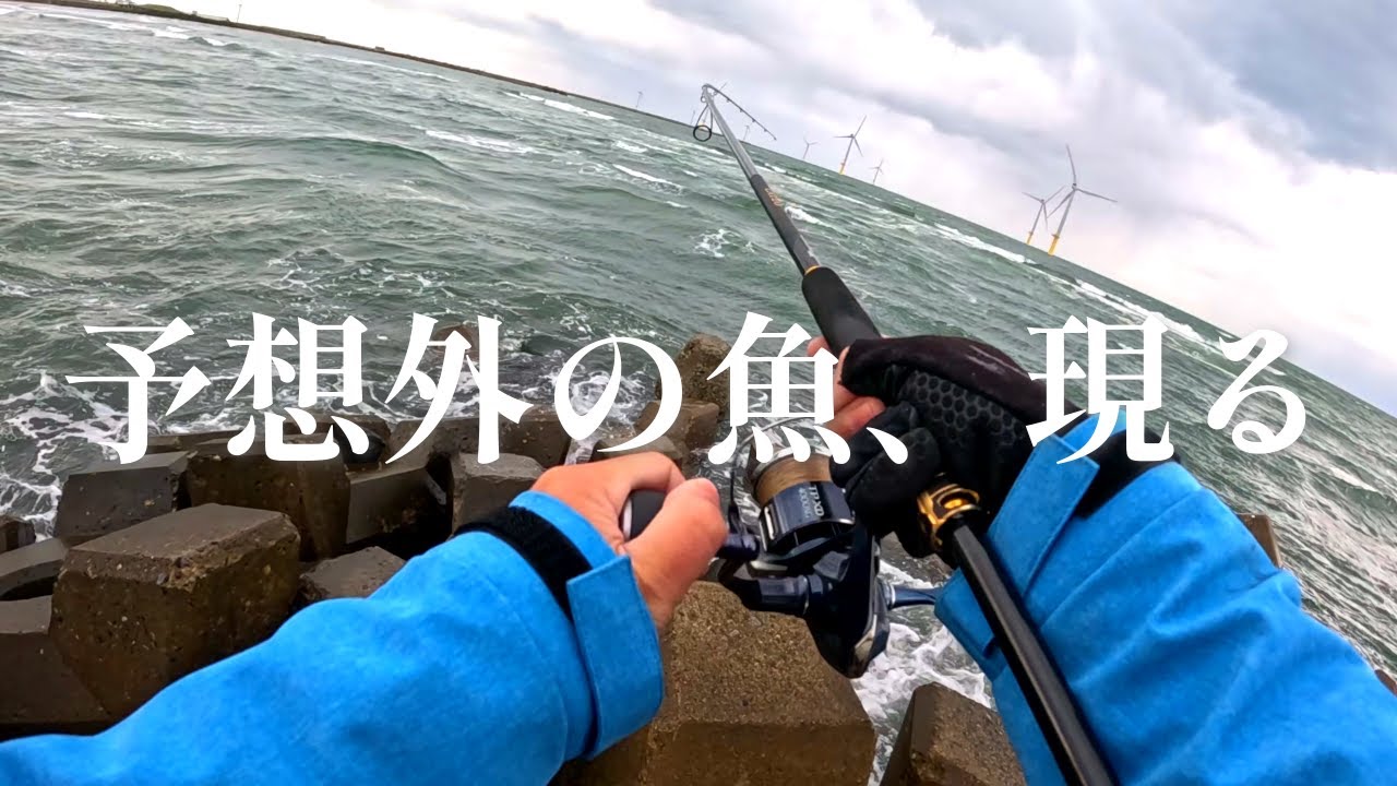 【サーフ】寒くて釣りが渋くなっても粘った結果、想定外の魚が釣れた件について【堤防】