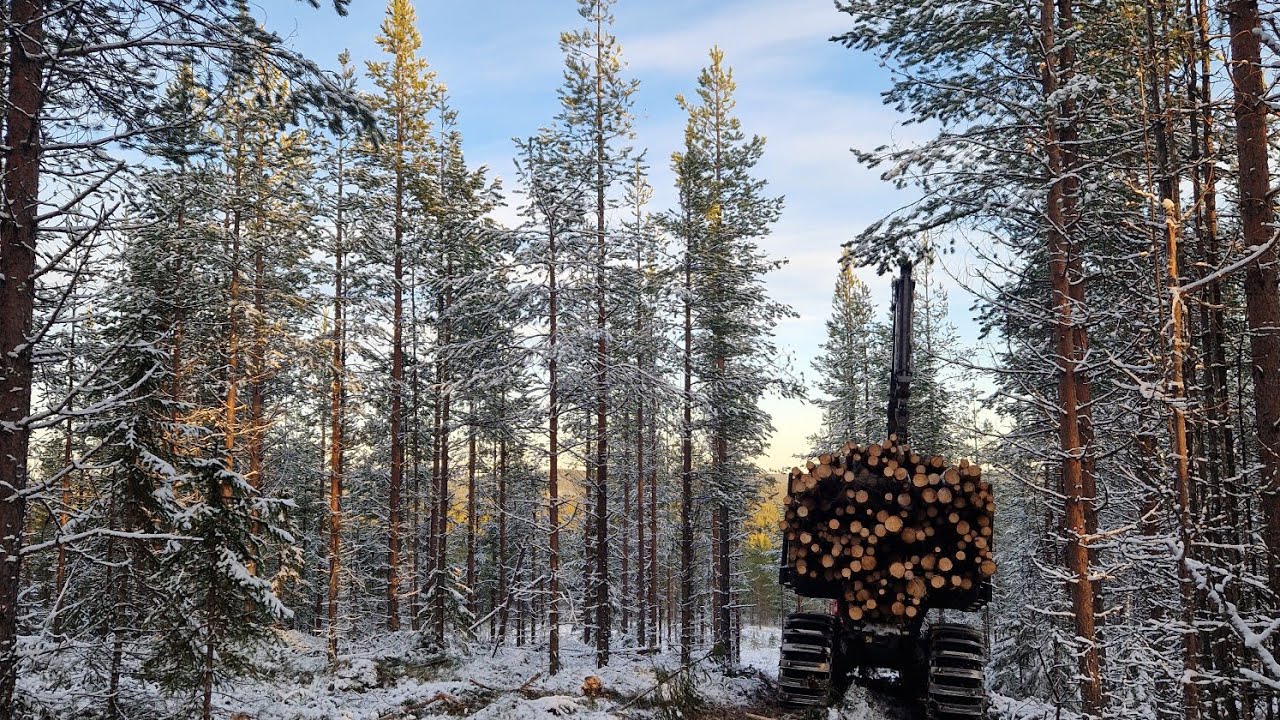 Vain yksi kuorma... Motomies hakee ensiharvennukselta kuitu kuorman valmetilla