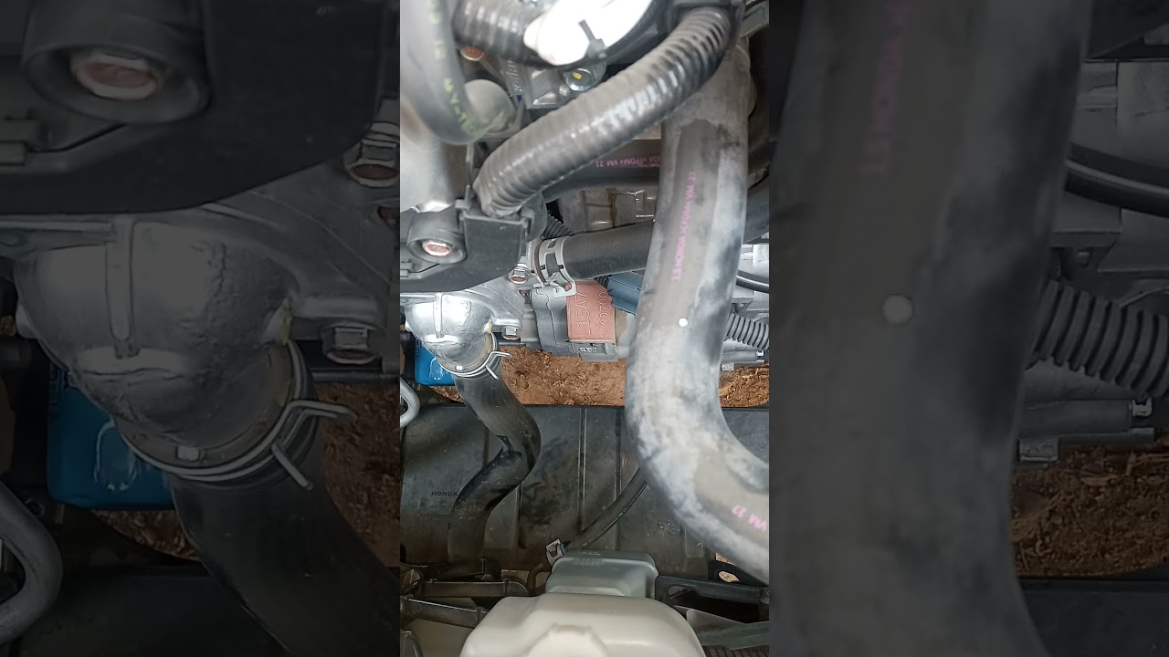 Honda Rebel oil change
