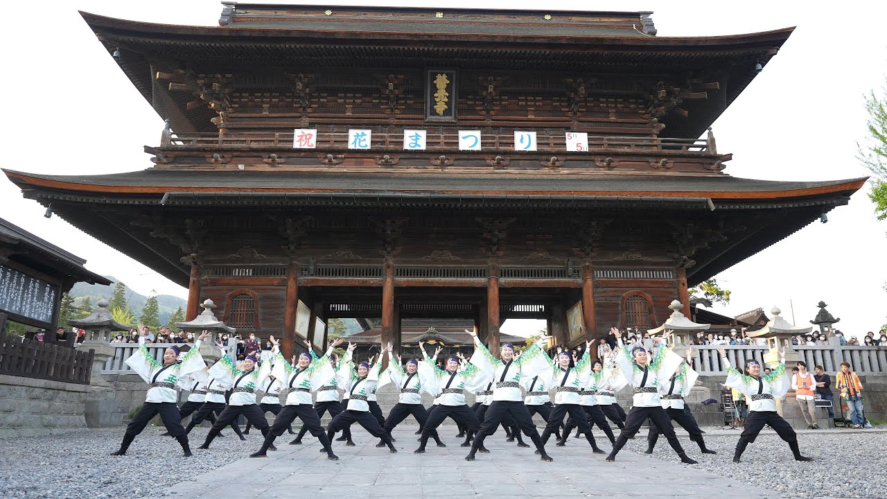 【大賞受賞】信州大学YOSAKOI祭りサークル 和っしょい 📍NAGANO善光寺よさこい (善光寺奉納演舞) 2023-05-04T17:42
