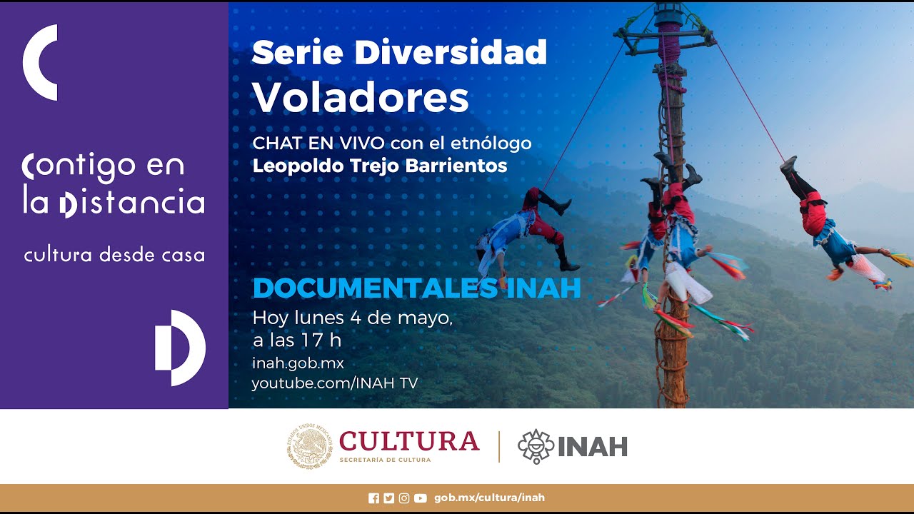 Serie Diversidad. Voladores