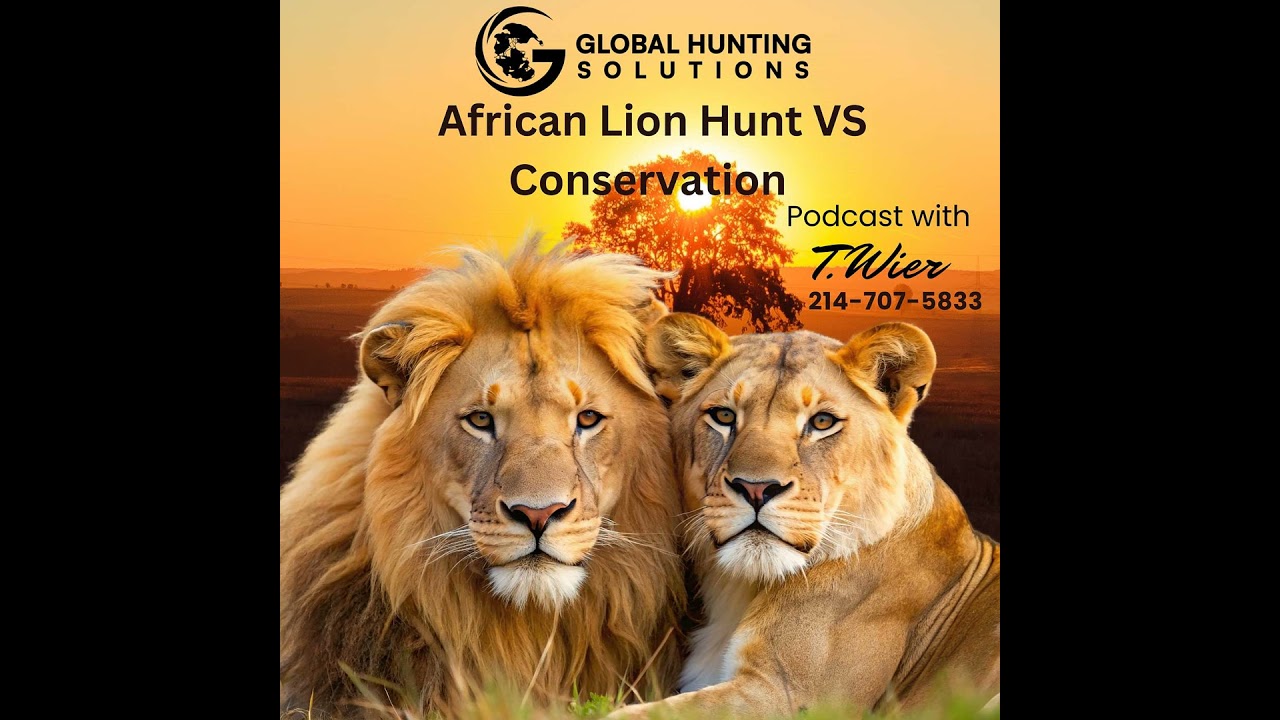 Hunting Lions in South Africa – Conservation, Controversy & Adventure with Global Hunting Solutions