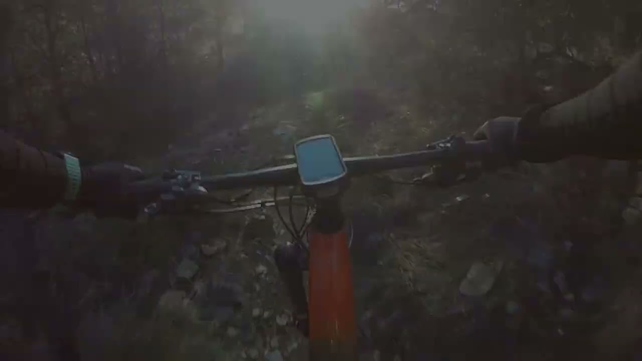 Jisica 28 01 24   mtb Lliria sendas