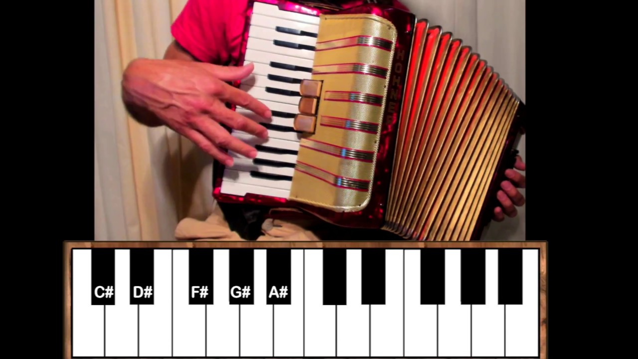 Free  Beginners Gypsy Accordion Balkan Lesson Part 1