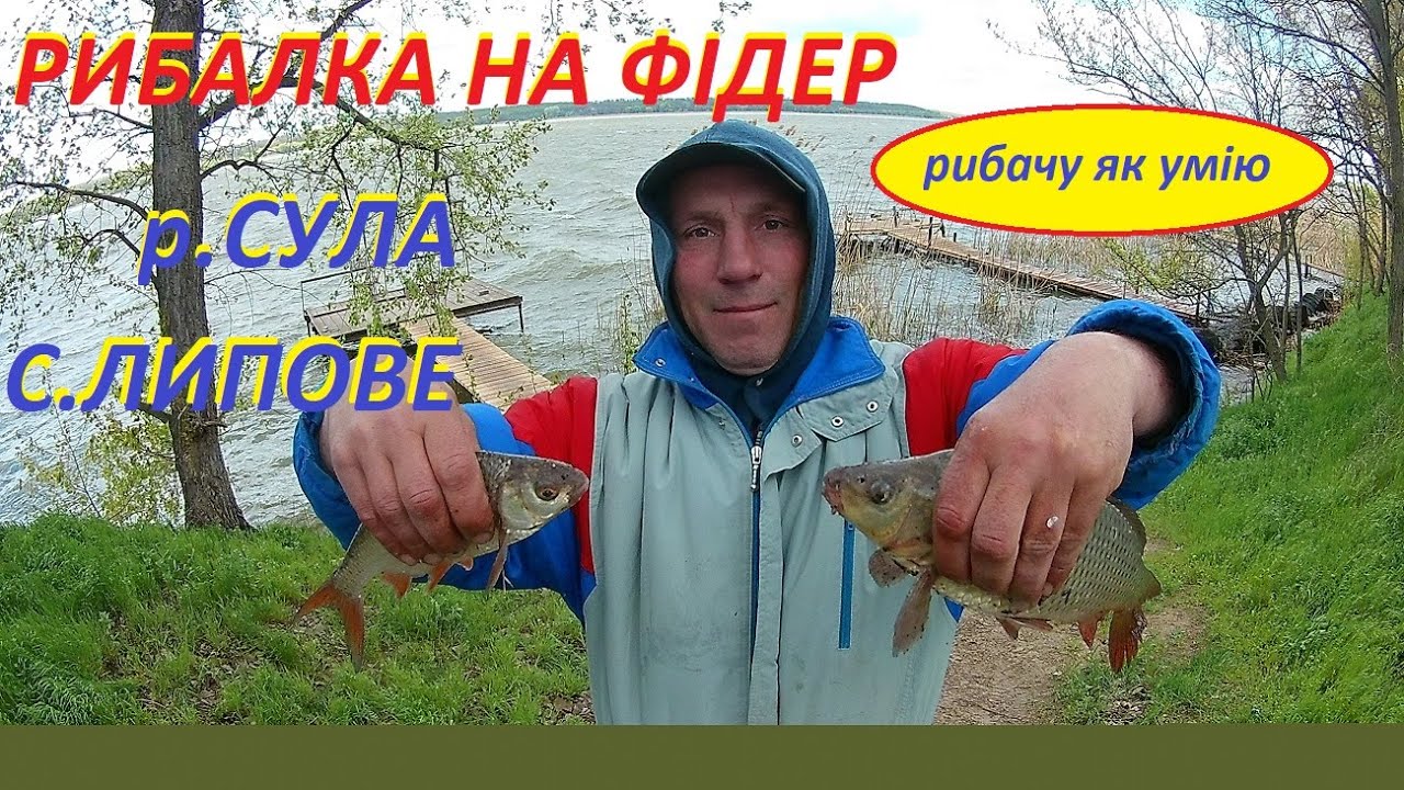Рибалка на фідер.Сула.Липове.