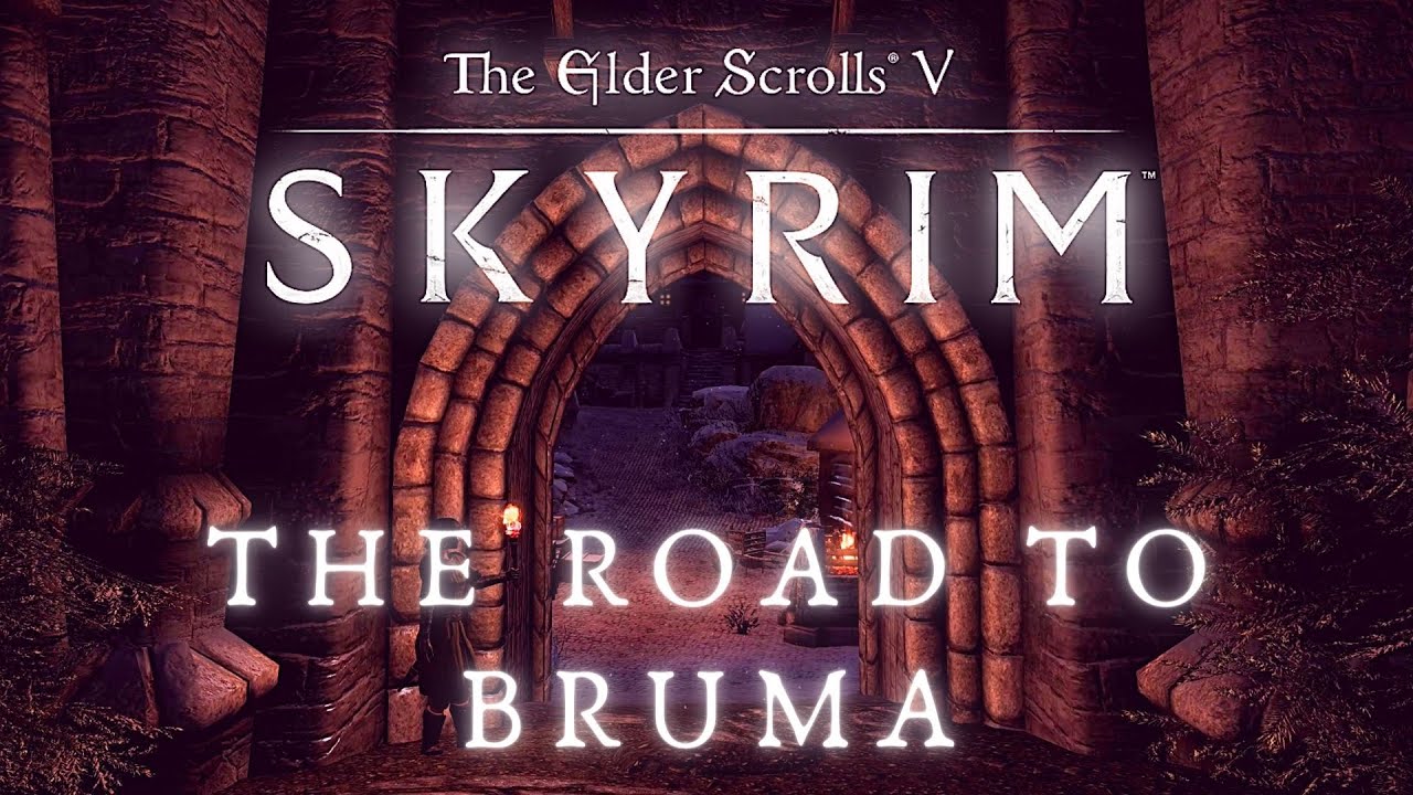 Skyrim SE 4K Music & Ambience | Walking Across Skyrim - Pinewatch To Bruma | Ambient Music