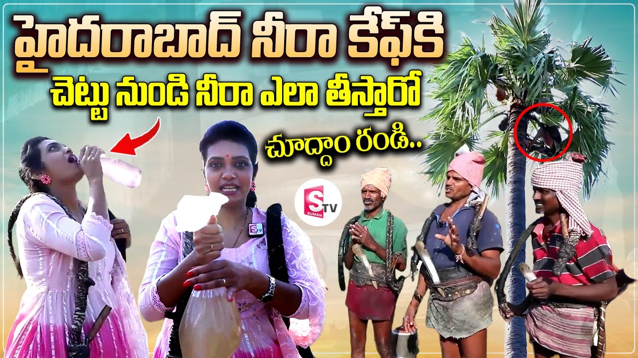 చెట్టు నుండి నీరా ఎలా తీస్తారో చూద్దాం రండి | Collecting Neera From Tree | SumanTV Vijayawada