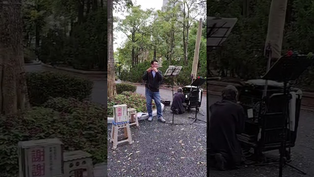 柳笛吹奏竹笛/“楓葉情”/台北大安森林公園（115/2/20