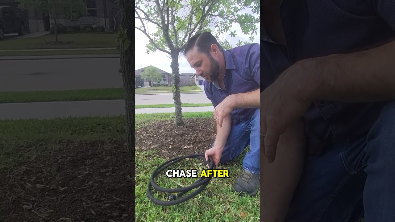 Planting a new #Tree? Water Like a Pro with This Simple Trick 💧 Master #arborist explains