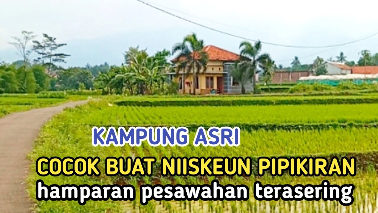 COCOK BUAT NGADEM KAMPUNG ASRI DI KELILINGI SAWAH