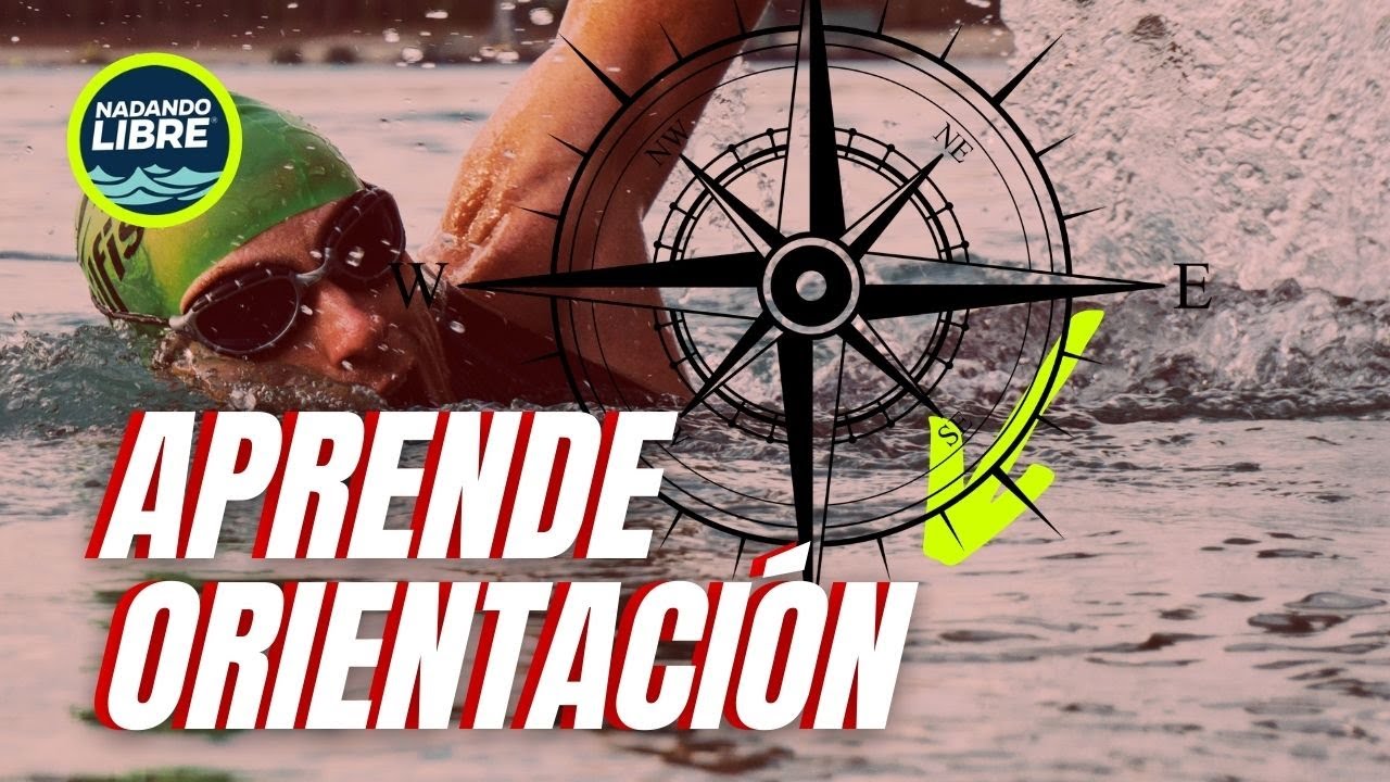 🏊‍♂️ 🦈 🏆APRENDE LA TÉCNICA CORRECTA DE VISUALIZACIÓN PARA NADAR EN AGUAS BIERTAS.