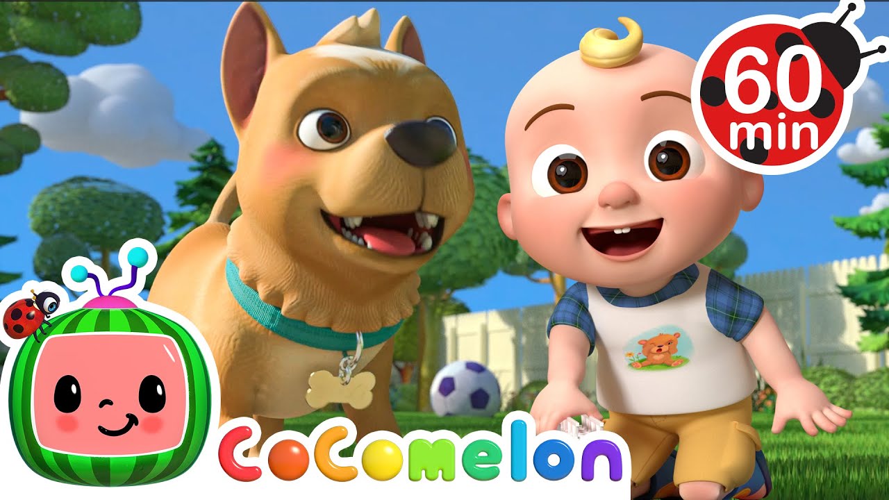 Say Hello to My Dog Bingo!🐶 | CoComelon | Animals for Kids | Sing Along | Learn about Animals