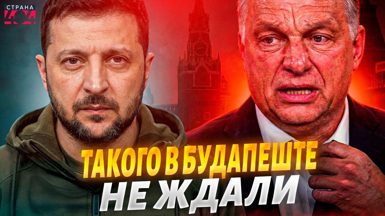 Зеленский двумя словами ВЫВЕЛ Орбана ИЗ СЕБЯ! Дружок Путина В ПАНИКЕ: его РЕАКЦИЮ надо слышать