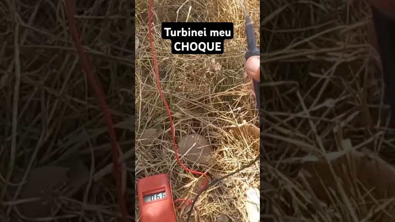 Como turbinar teu sistema de choque nas cercas el&eacute;tricas
