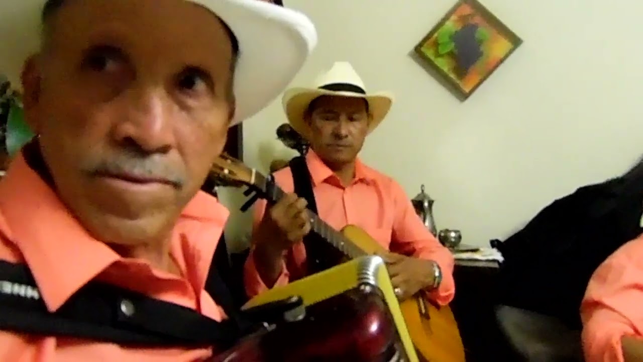 #Laleydelavida