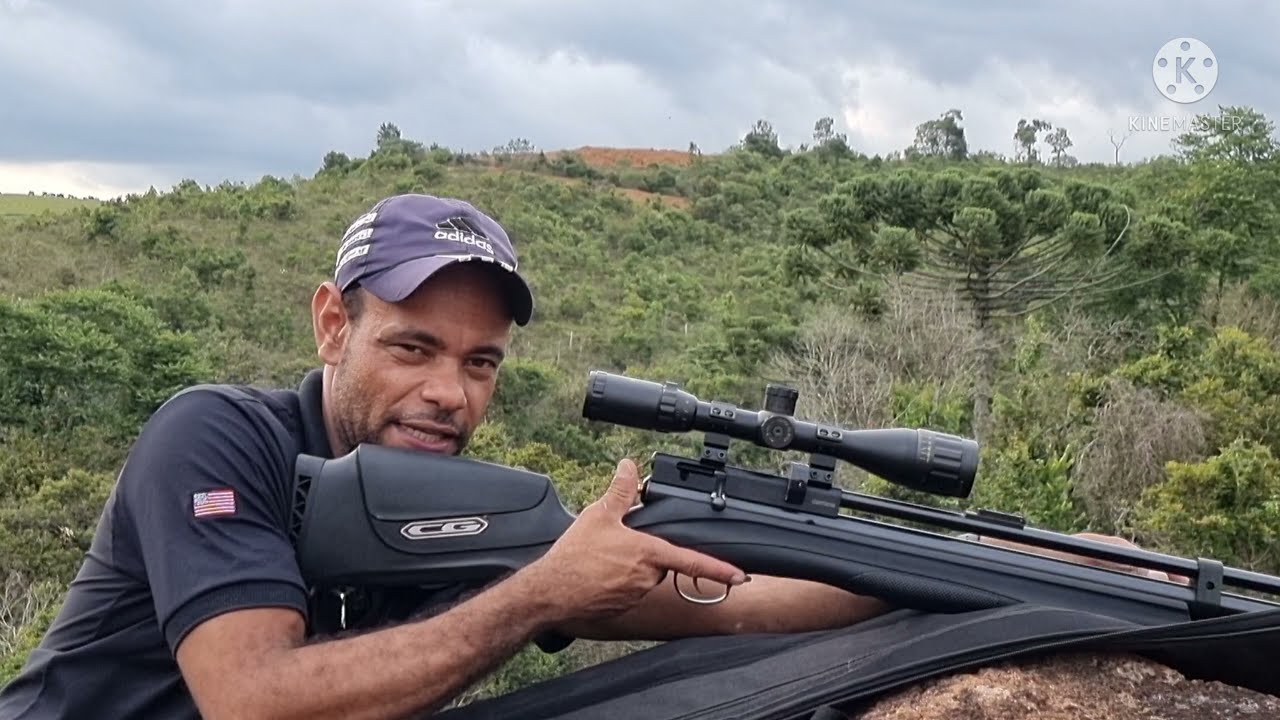 vejam como a beeman 1336 faz