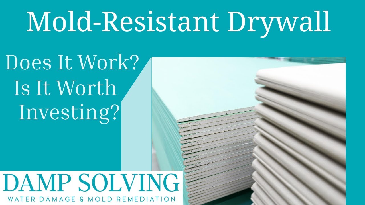 Is Mold Resistant Drywall Worth The Investment? Damp Solving Water & Mold